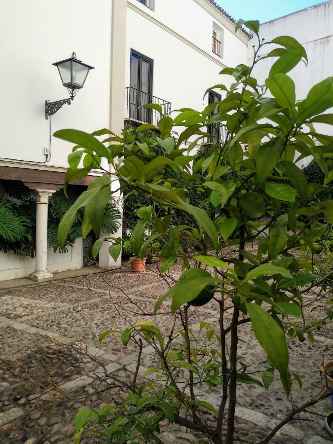 Wish Suite Juderia De Sevilla Εξωτερικό φωτογραφία