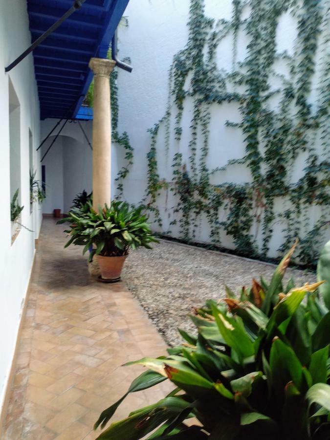 Wish Suite Juderia De Sevilla Εξωτερικό φωτογραφία