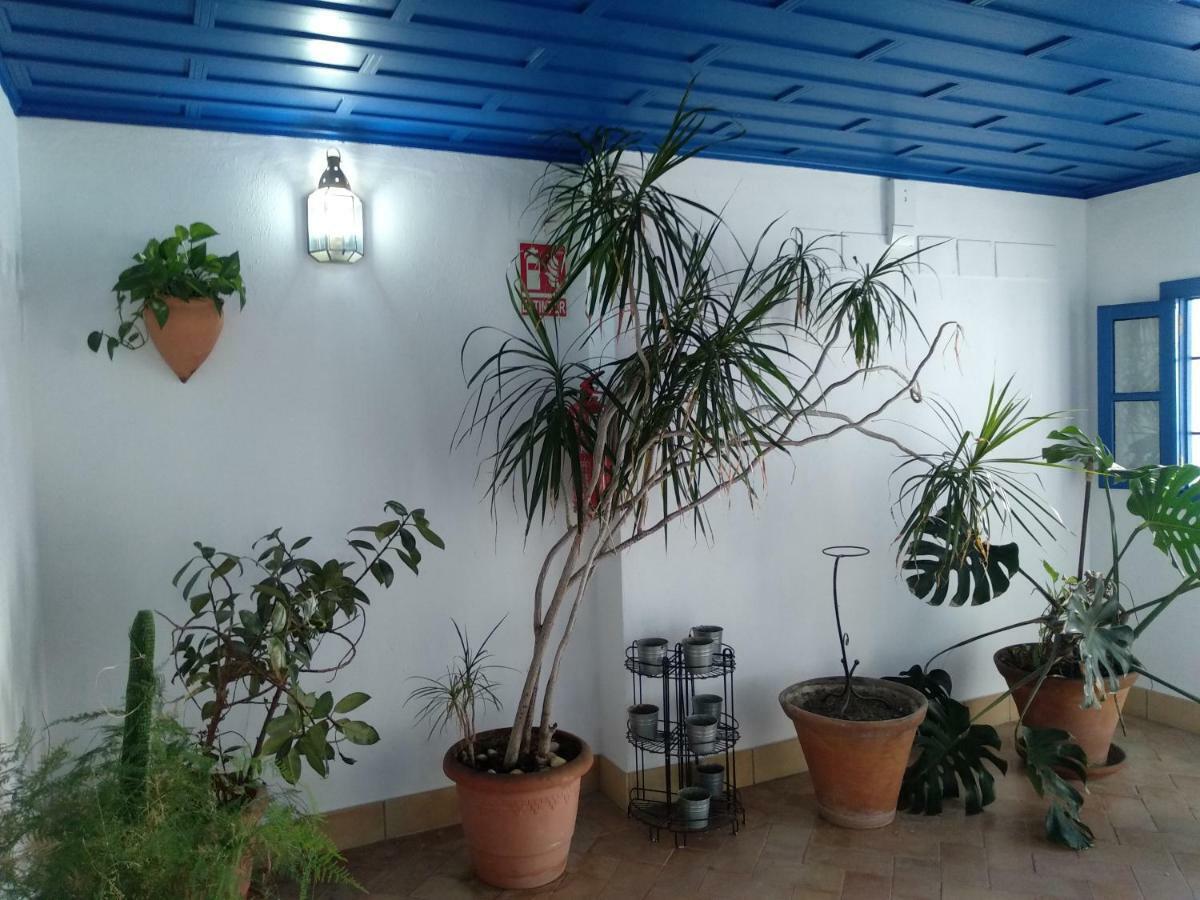 Wish Suite Juderia De Sevilla Εξωτερικό φωτογραφία